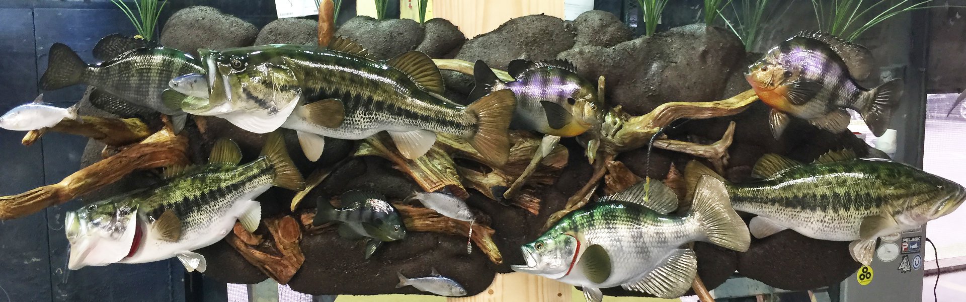 Custom Bass and Crappie Scene