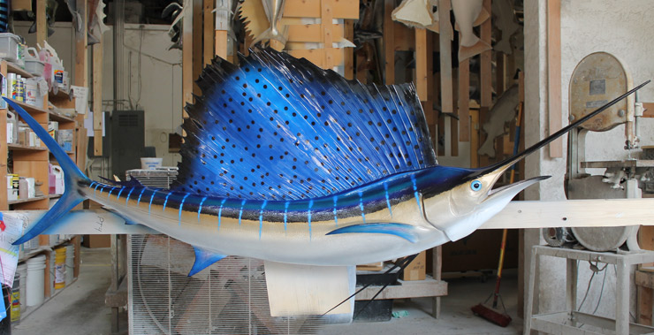 Atlantic Sailfish replica shop Atlantic Sailfish mount shop
