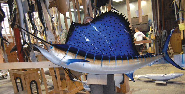 Atlantic Sailfish replica shop Atlantic Sailfish mount shop