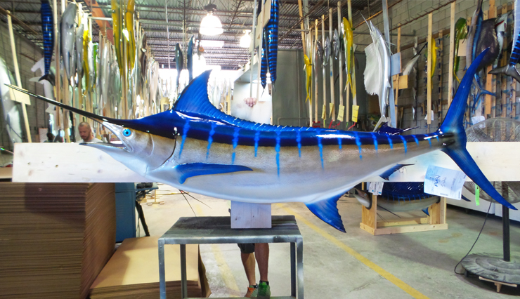 Blue Marlin fish mount at Gray Taxidermy Blue Marlin fish Replica at the shops of Gray Taxidermy