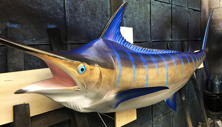 Gray Taxidermy Blue Marlin Fish Replica Blue Marlin fish Replica at the shops of Gray Taxidermy