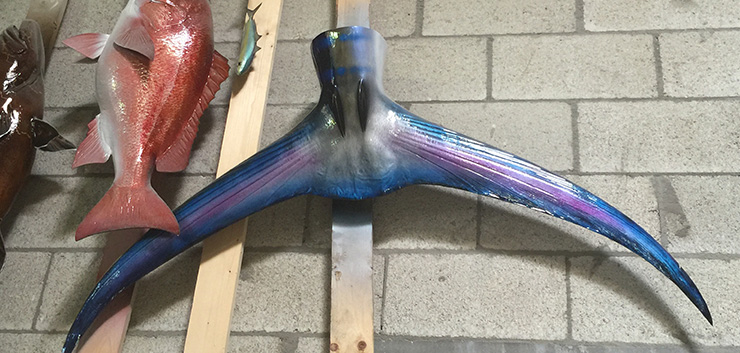 Blue Marlin Tailmount 