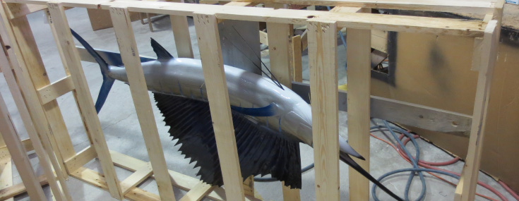 Sailfish trophy mount in Crate Sailfish mount in Crate
