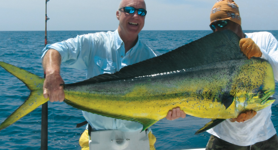 Dorado fish trophy Dorado fish
