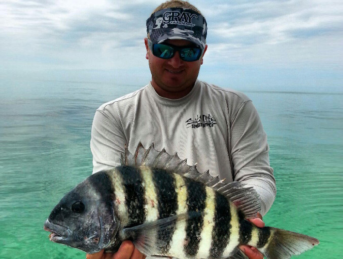 Sheephead