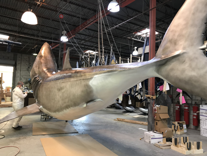 27 Ft. Great White Shark