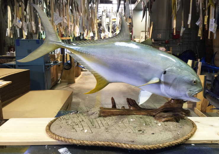Jack Crevalle custom Base mount Jack Crevalle custom Base mount