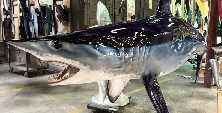 Mako Shark Replica close up shot Mako Shark close up shot