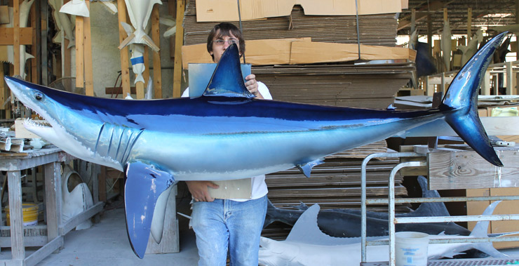 Mako Shark replica by Gray Taxidermy Mako replica mount from Gray's