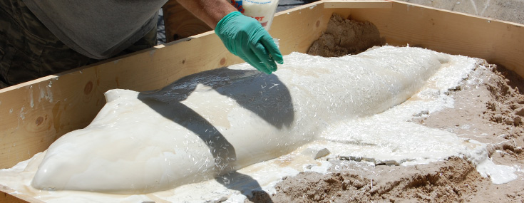 Shark mold in process at Gray's Shark mold in process