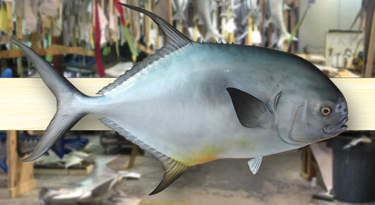 Permit fishmount traditional