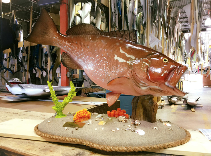 Red Grouper replica on a custom base Red Grouper fishmount on a custom base