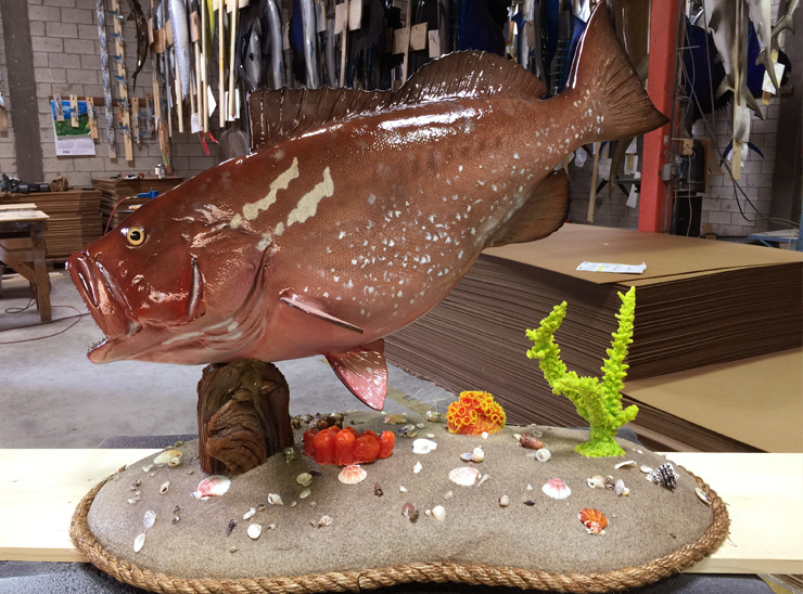Red Grouper replica on a custom base Red Grouper fishmount on a custom base