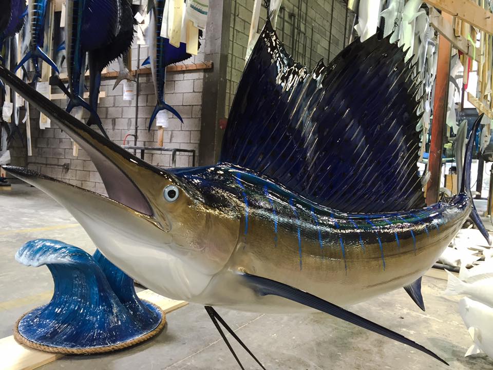 Atlantic Sailfish replica shop Atlantic Sailfish mount shop