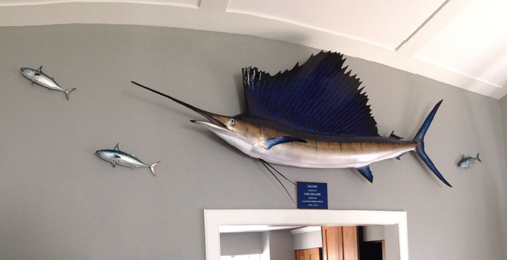 Atlantic Sailfish mount customer Atlantic Sailfish replica customer