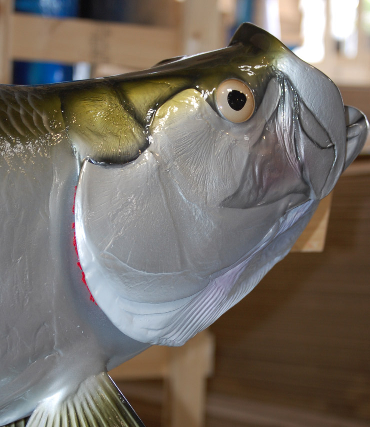 Tarpon fish trophy on custom wood panel Tarpon fish mount on custom wood panel