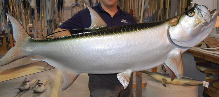 Tarpon fish trophy on wood plaque Tarpon fish mount on wood plaque