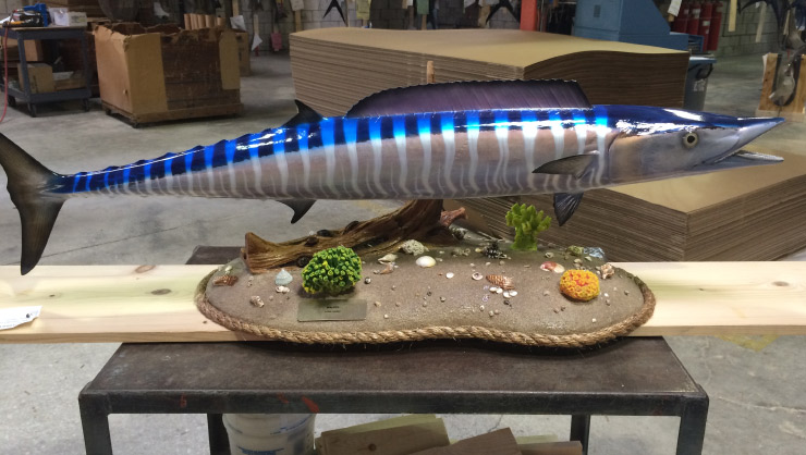 Wahoo fish trophy on custombase Wahoo fish mount on custombase