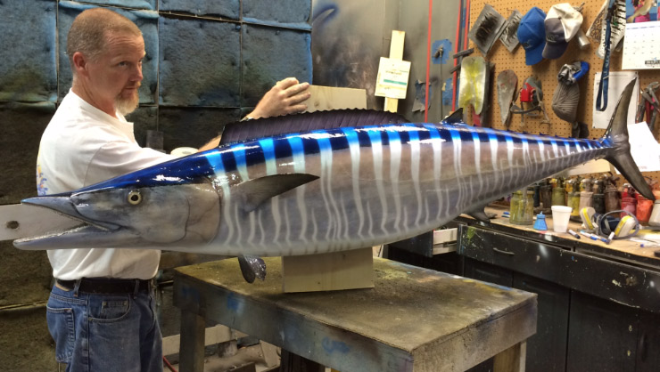 Wahoo fish trophy Wahoo fish mount