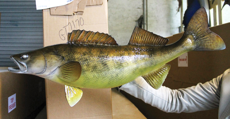Walleye fishmount