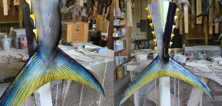 Yellowfin Tuna Tailmount 